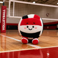 Red, White, and Black Plush Volleyball